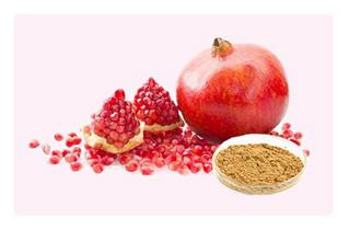 انتخاب انار عصاره جدید برای کاهش چربی خون