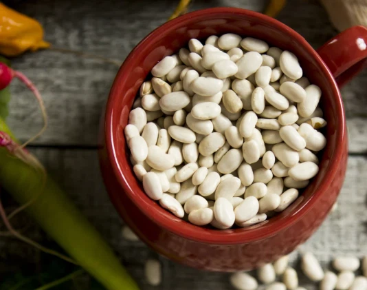 White Kidney Bean benefits White Kidney Bean benefits