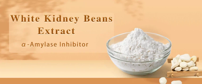 White Kidney Bean Extract White Kidney Bean Extract