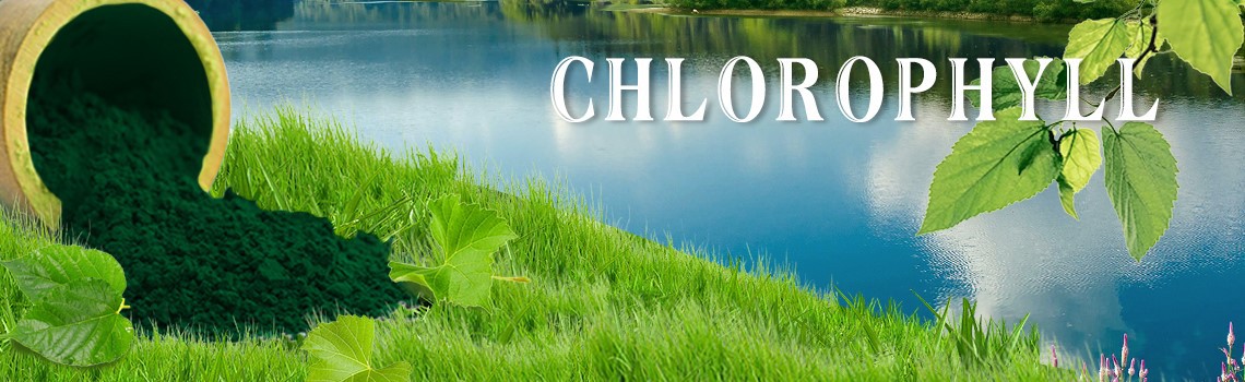 Natural Chlorophyll powder Natural Chlorophyll powder