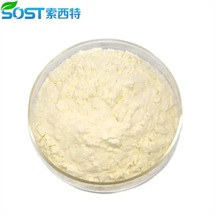 Whey Protein Isolate Powder